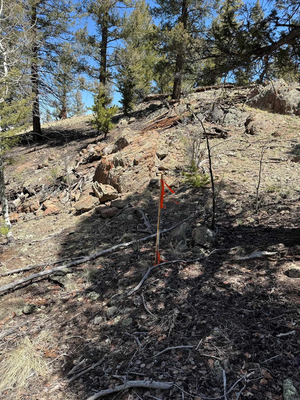 southeast view from the southwest corner pin over the rock outcropping