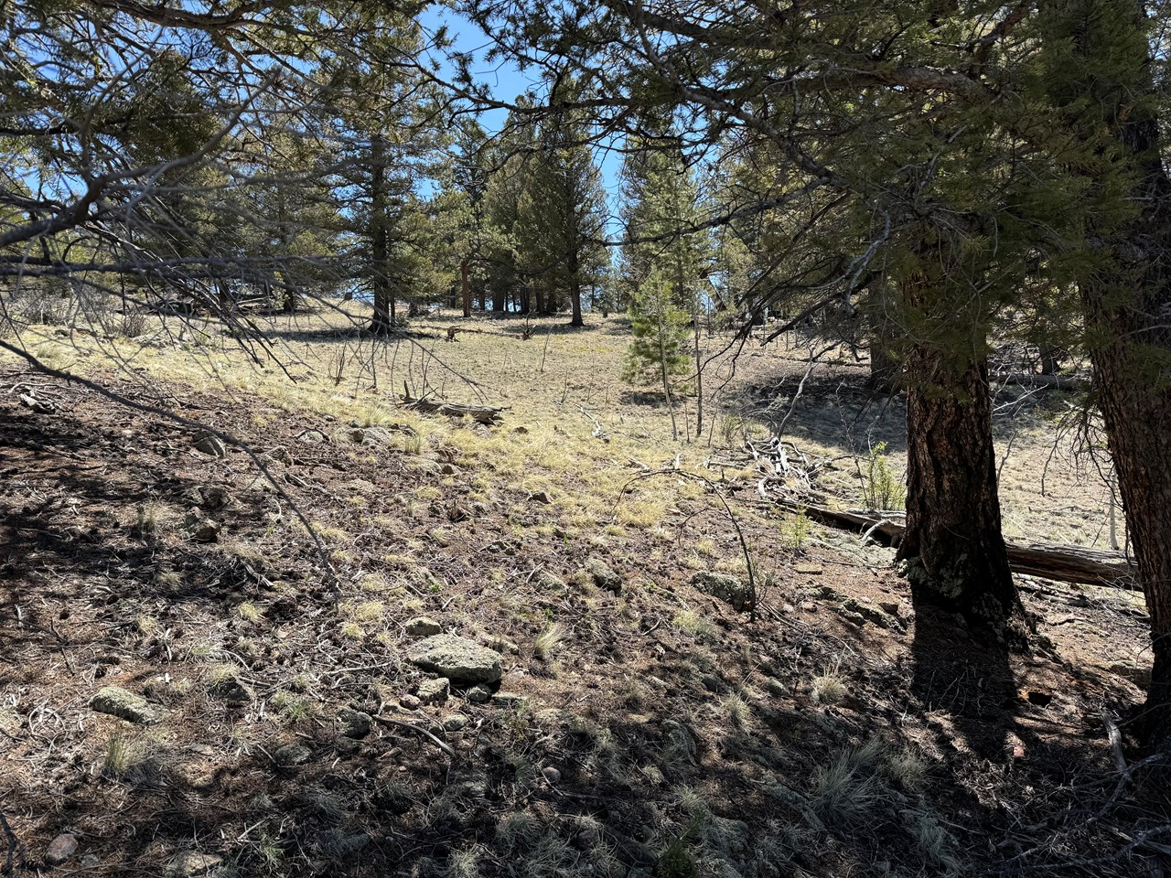 looking down onto the lower level of the property