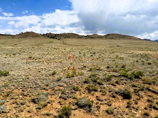 view ne across the property from the southwest corner of the lot