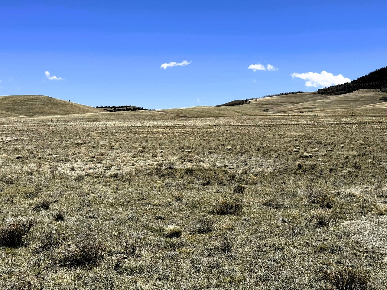 view east southeast
