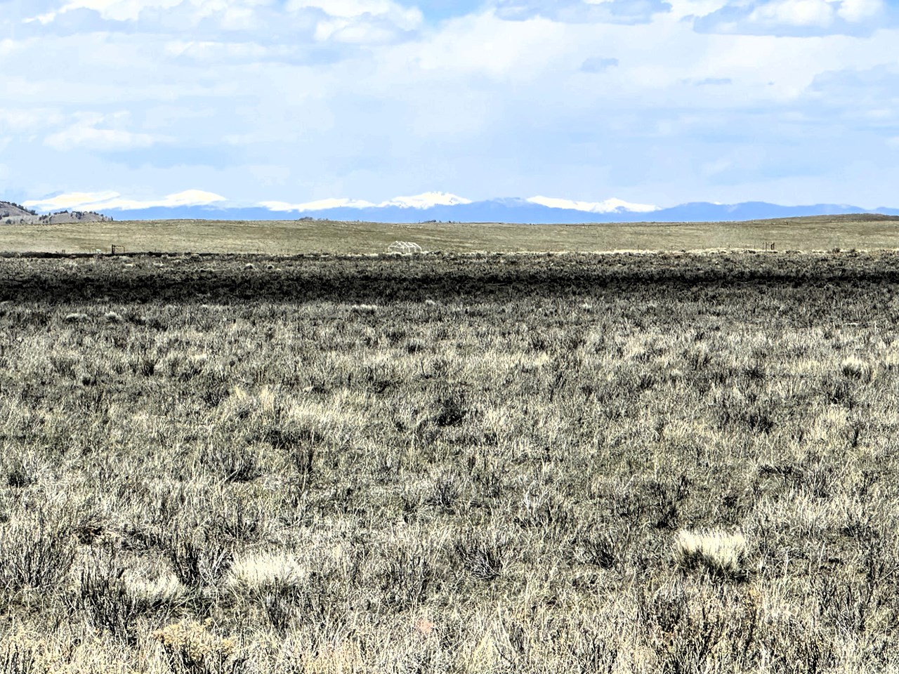 view north to the mosquito mountain range