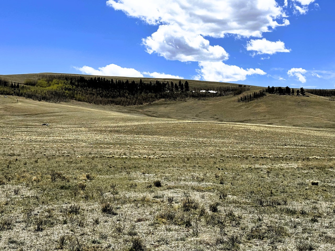 zoomed view south