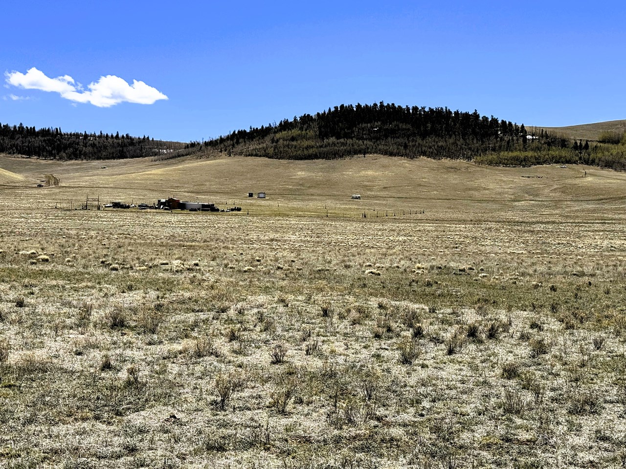 view south
