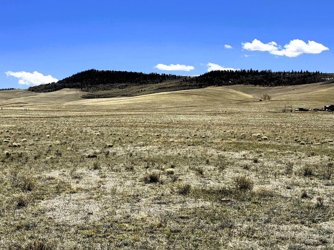 view southeast