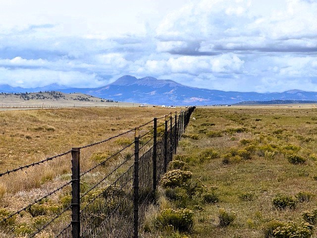 view west along the back property line and us24 to buffalo peaks