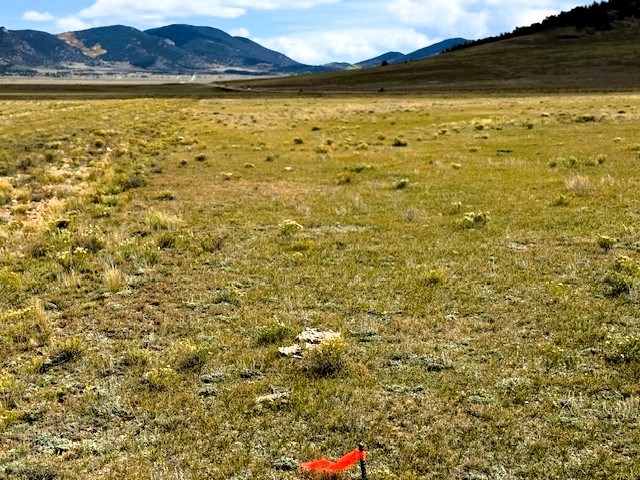 view east from the northwest corner pin