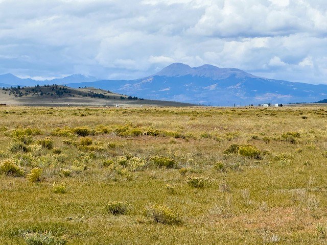 view west from the lot to buffalo peaks