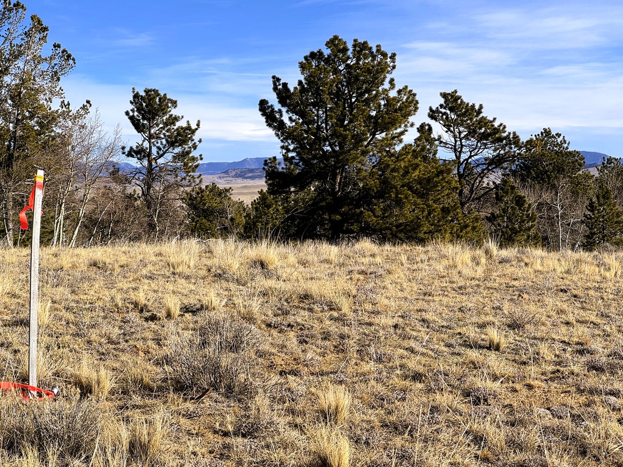 view northeast across the property from the southwest corner pin