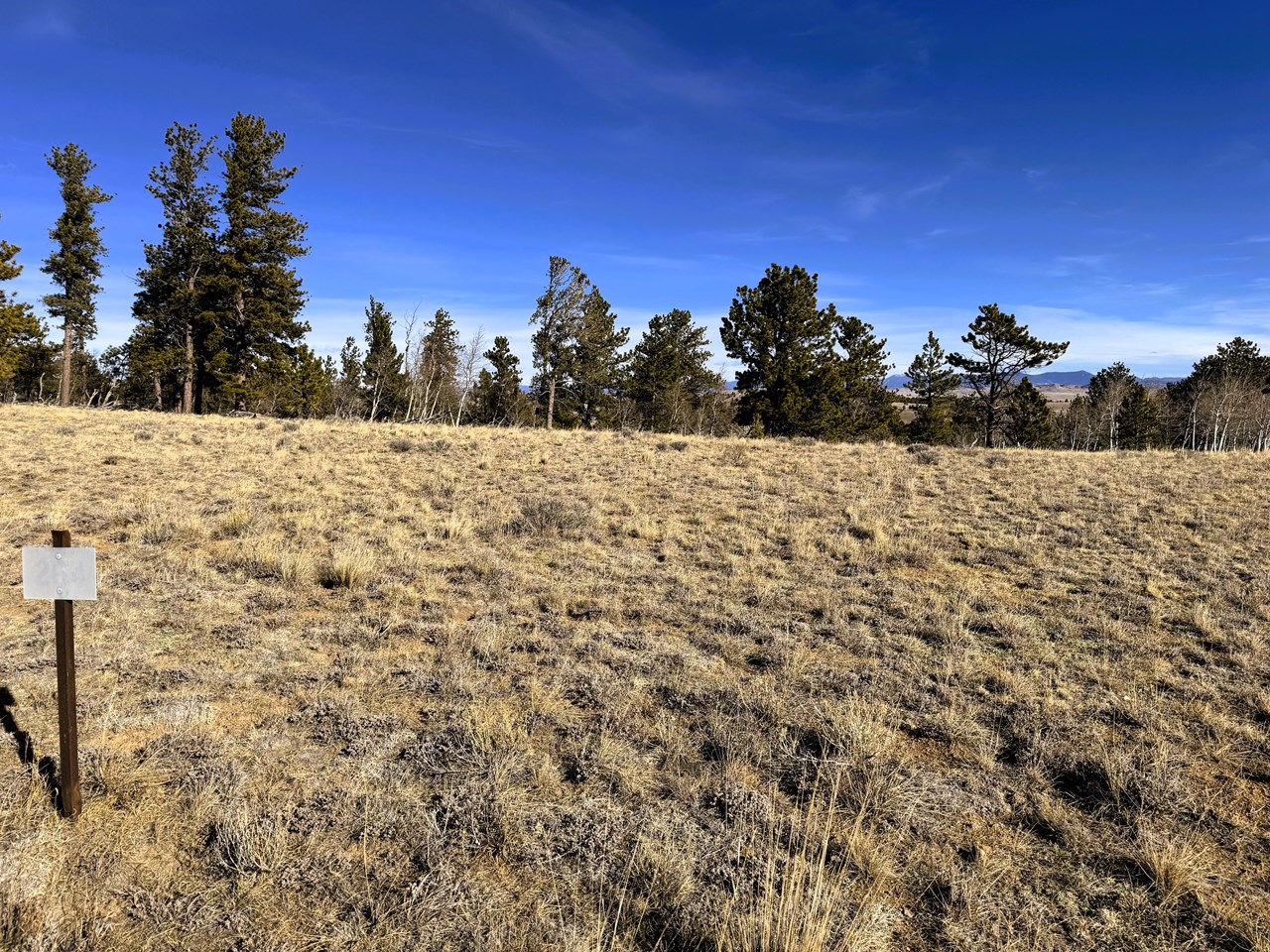 north northeast view from the center front of the property