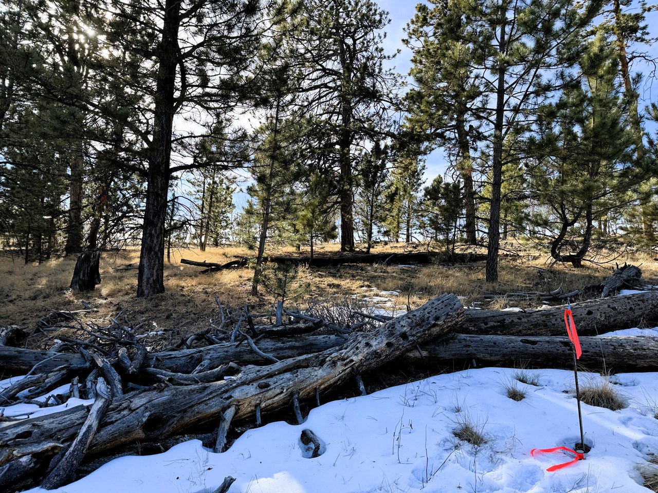 the northwest corner pin