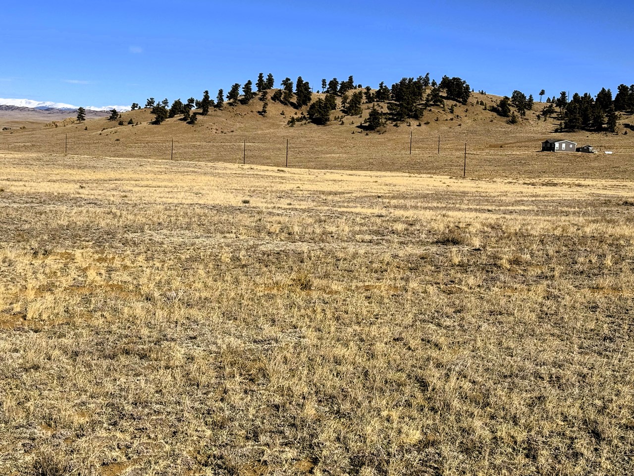 view northeast from the center of the property