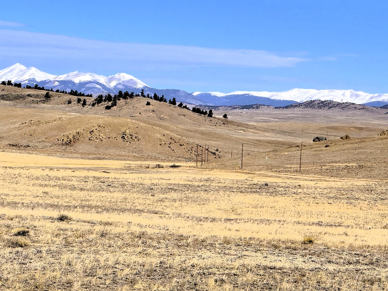 view north from the property