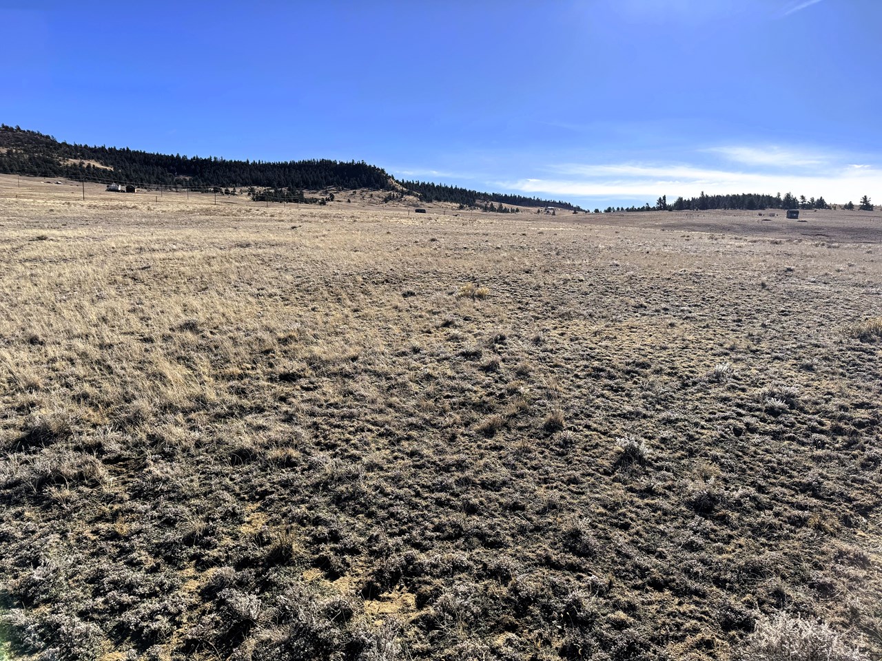 view southeast from the property