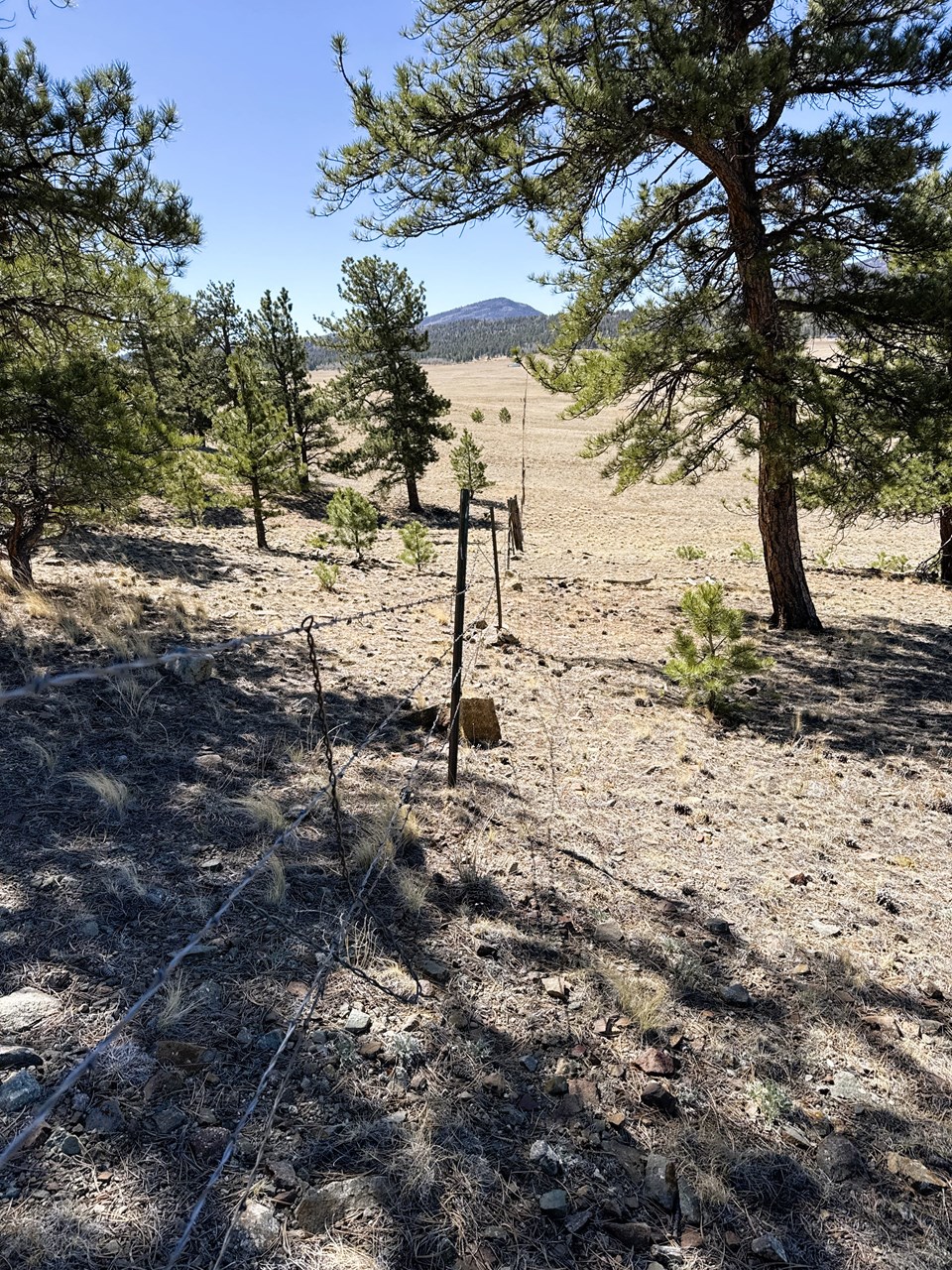 south view along east fence line south view along east fence line