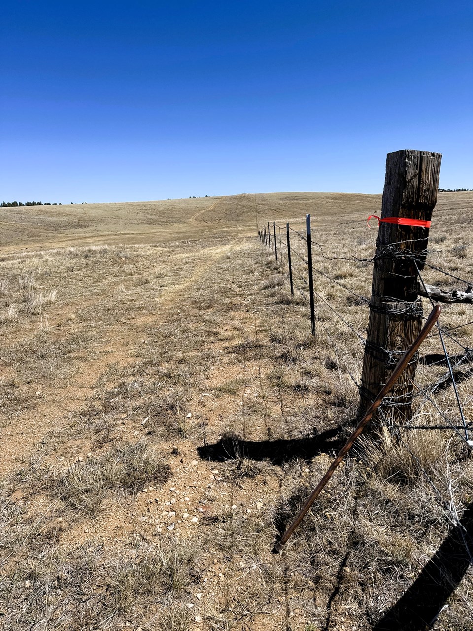 looking east from the northwest corner along the north fence line with the state land looking east from the northwest corner along the north fence line with the state land