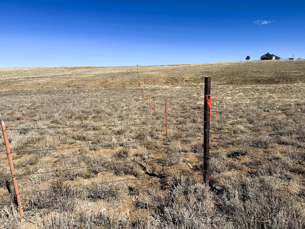 view north along the east fence line adjacent with the llama farm view north along the east fence line adjacent with the llama farm