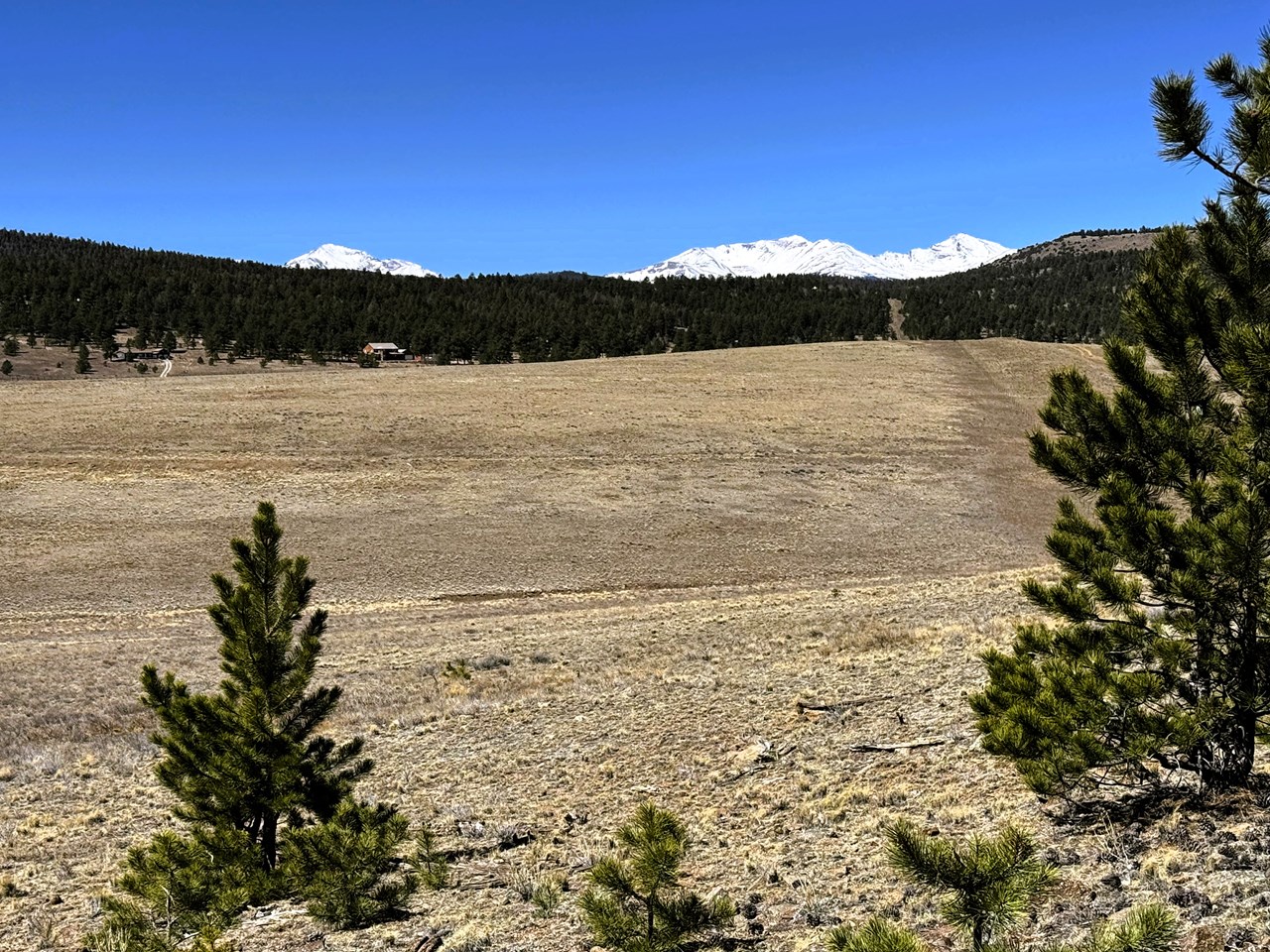 zoomed across the property from the northeast corner of the lot to the collegiate peaks zoomed across the property from the northeast corner of the lot to the collegiate peaks