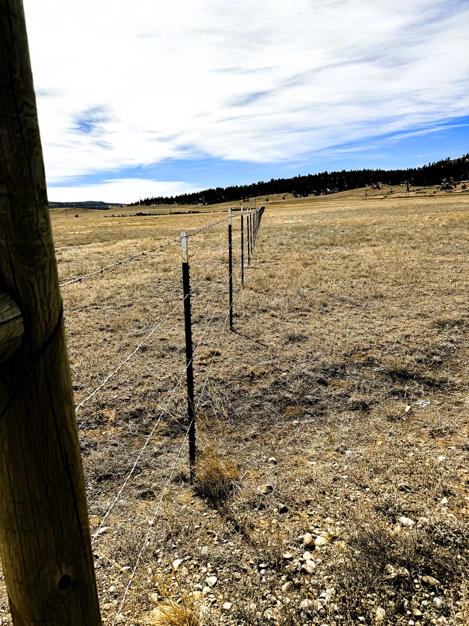 view south from the northeast corner along the east boundary and fence line view south from the northeast corner along the east boundary and fence line