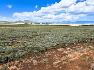 view nw over the property from the se property line view nw over the property from the se property line