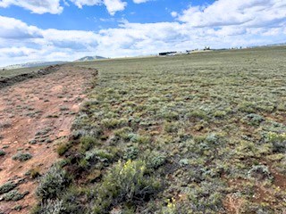 ese view along the southeast property line ese view along the southeast property line