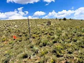 the ne corner of the property at the cul-de-sac the ne corner of the property at the cul-de-sac