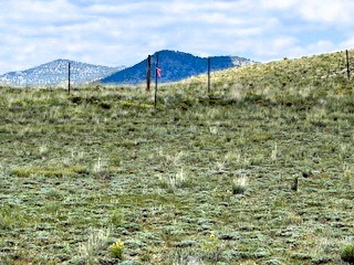 the northwest corner of the lot the northwest corner of the lot