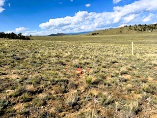 view east along the back property line view east along the back property line