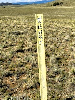 a stake marking the back property boundary with the state land a stake marking the back property boundary with the state land