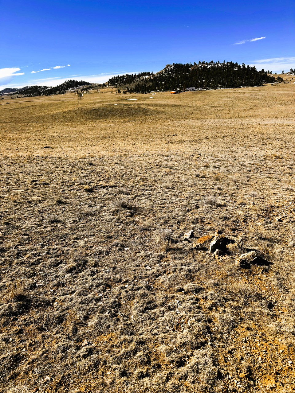 view along the west property line from the northwest corner of the lot view along the west property line from the northwest corner of the lot