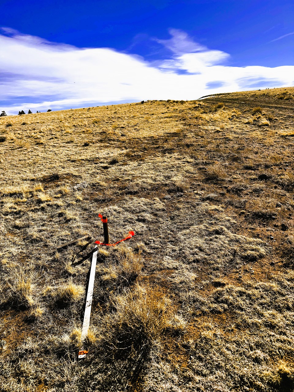 looking east along comanche trail from the southwest corner pin looking east along comanche trail from the southwest corner pin