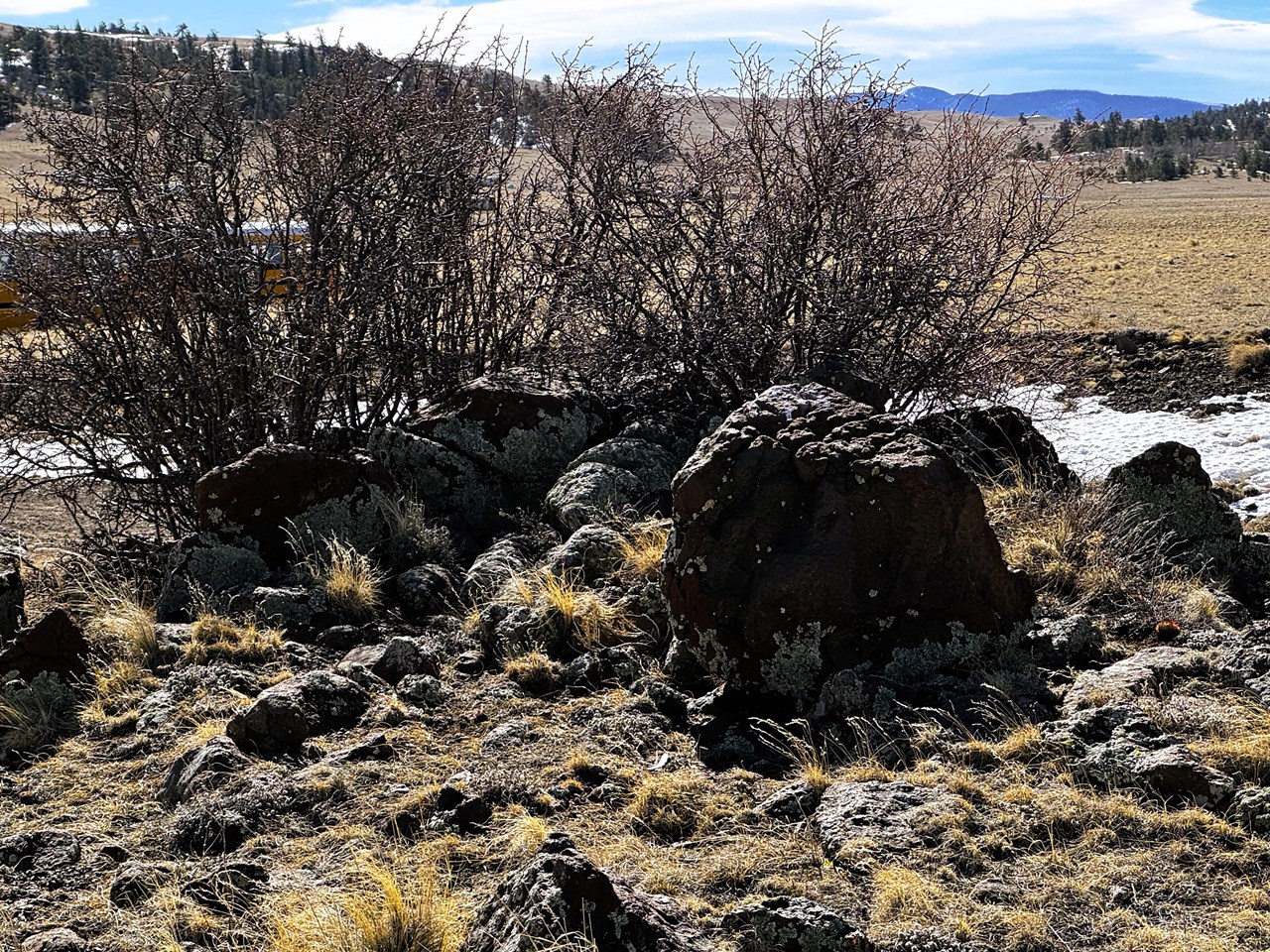 a closer look at the rock outcropping just off comanche trail a closer look at the rock outcropping just off comanche trail