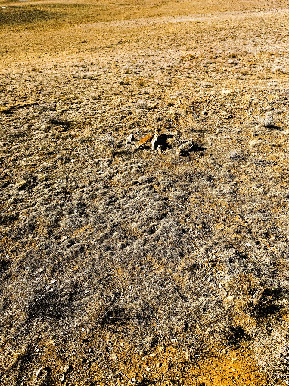 a pile of rocks marking the northwest corner of the property near chickamauga trail a pile of rocks marking the northwest corner of the property near chickamauga trail