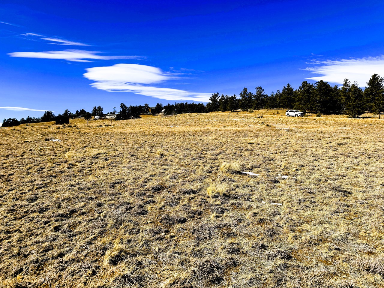 nw view from the center of the lot nw view from the center of the lot