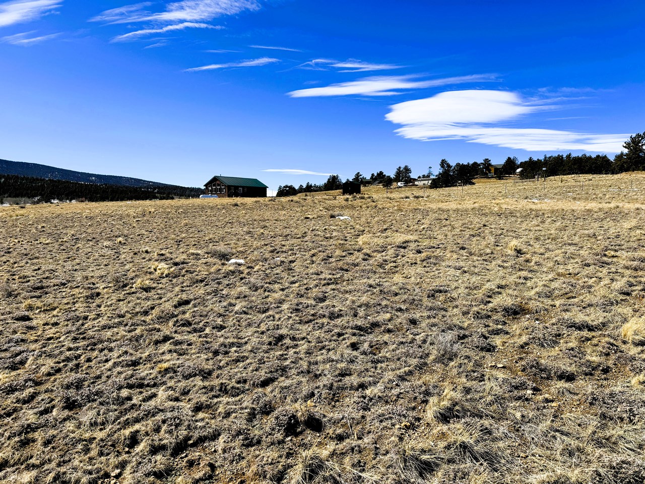 view west from the center of the lot view west from the center of the lot