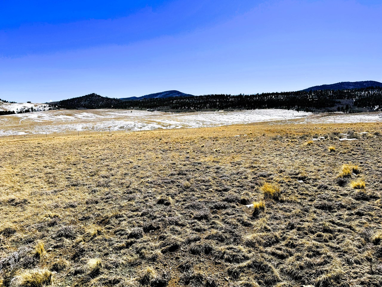 view south from the center of the property view south from the center of the property