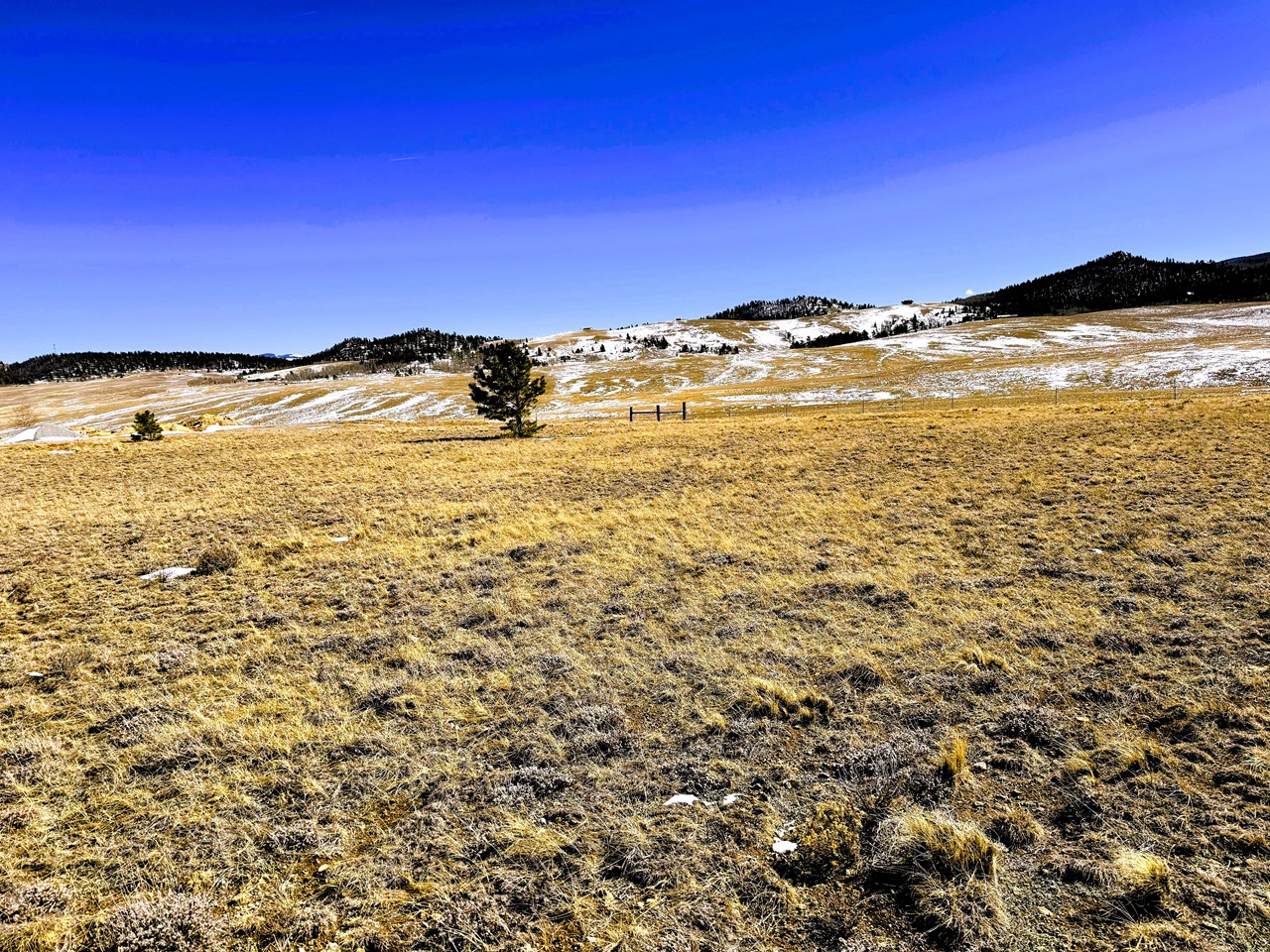 view from the center of the lot across the southeast corner view from the center of the lot across the southeast corner