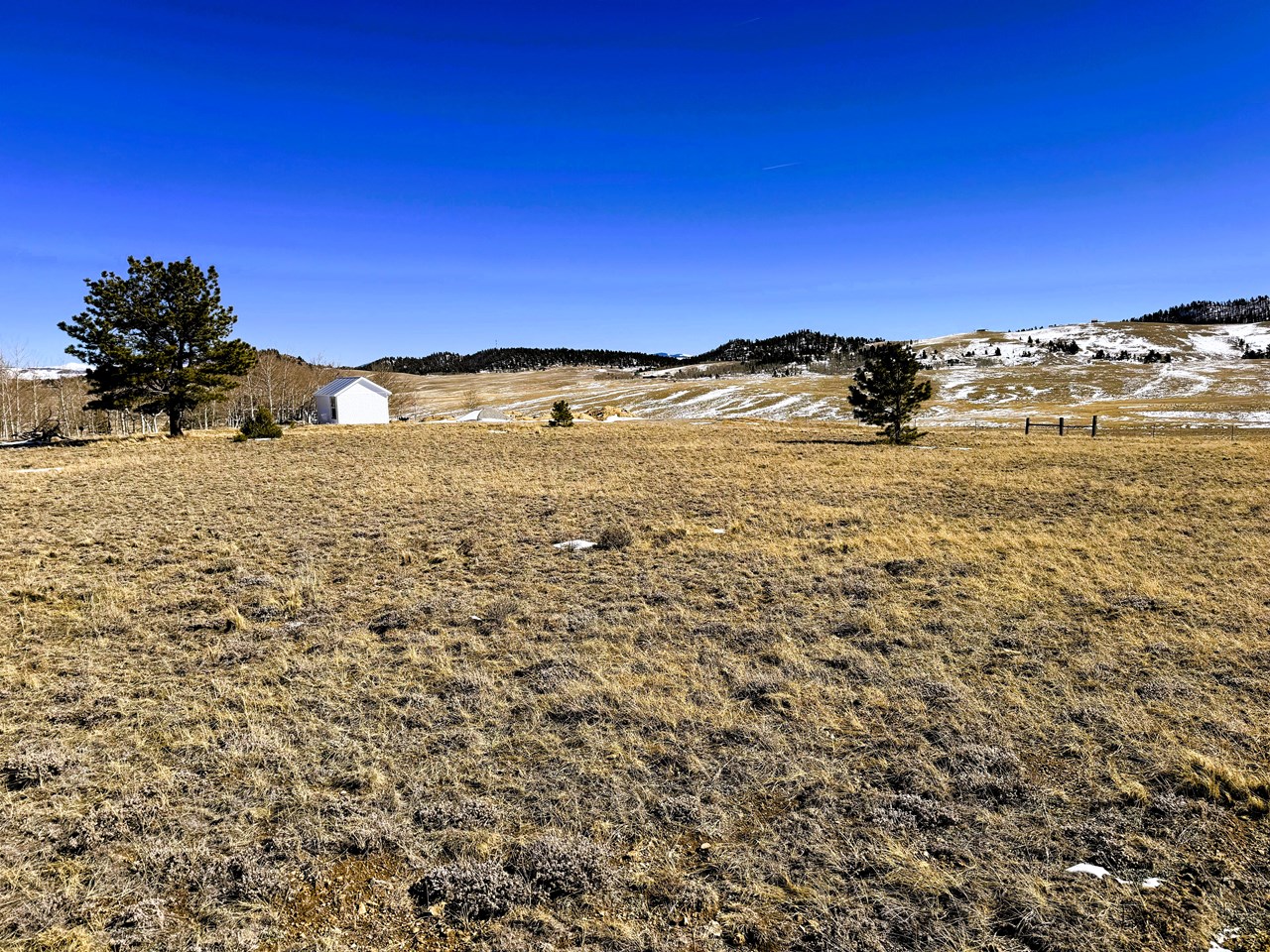 view east southeast from the center of the lot view east southeast from the center of the lot