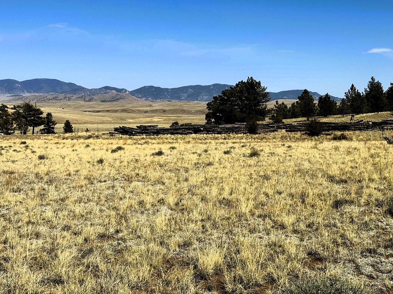 looking southeast from the center of the property