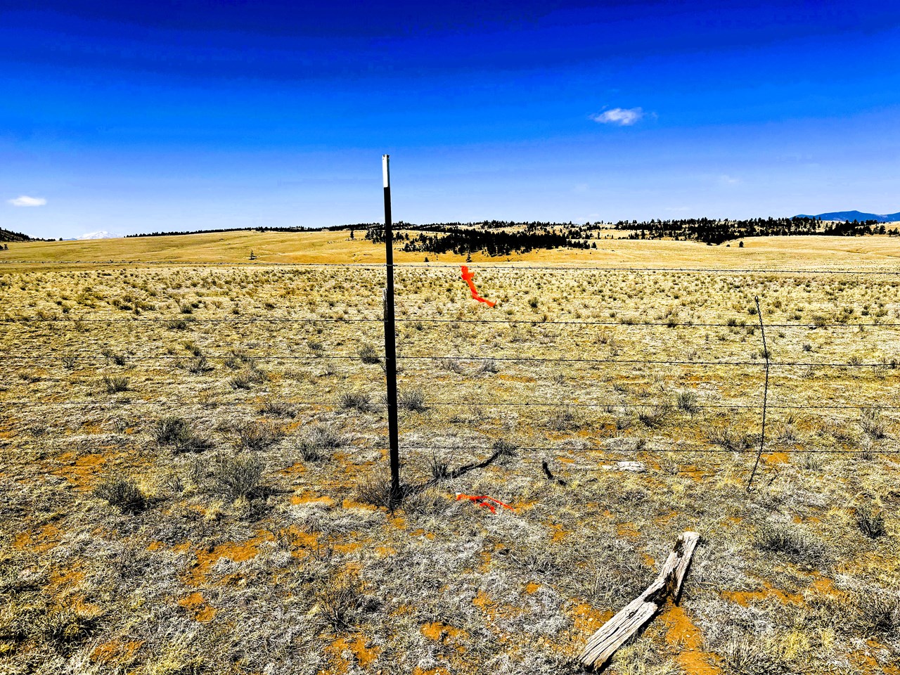 survey tape on the blm fence marking the northwest corner of the property