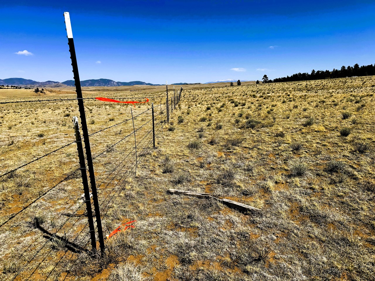 view east along the north boundary with the blm from the northwesr corner of the property