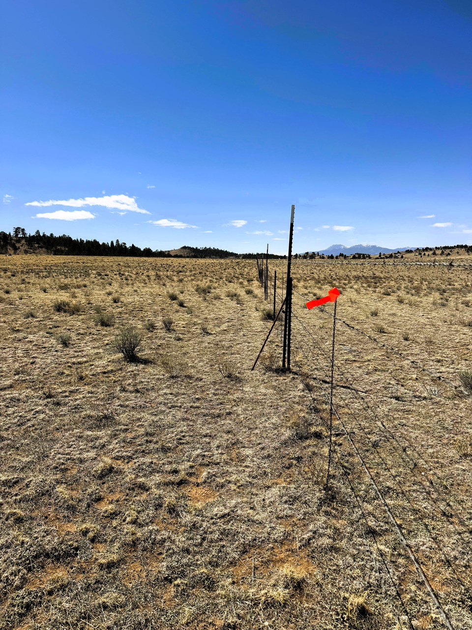 view west from the northeast corner along the north boundary with the blm fence