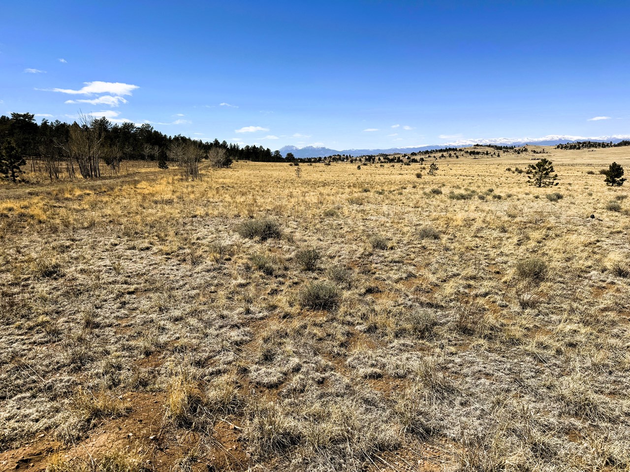 view west across the front of the property to buffalo peaks in the background near the center and the mosquito mountain range to the left