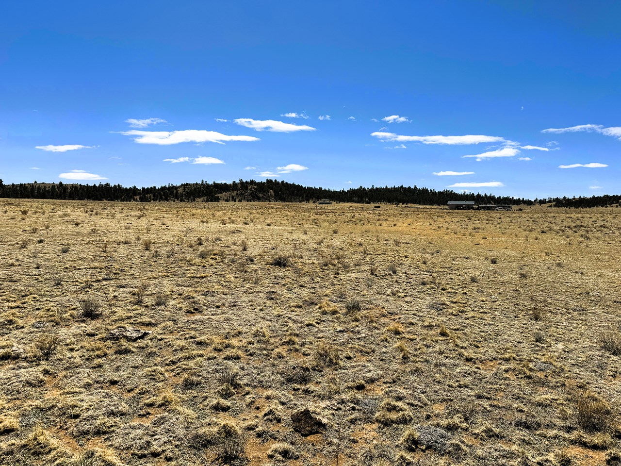 view from the property