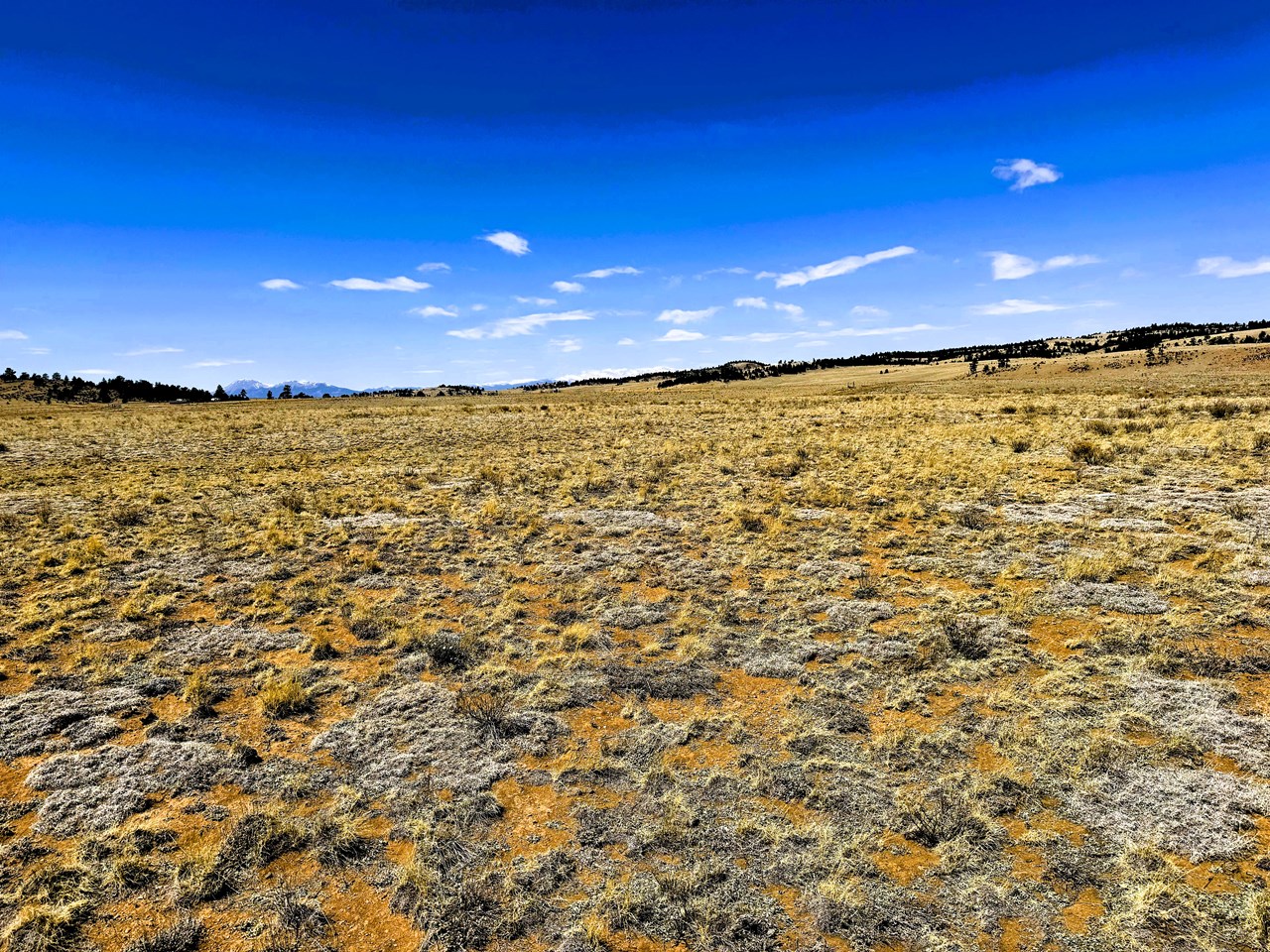 view west from the property