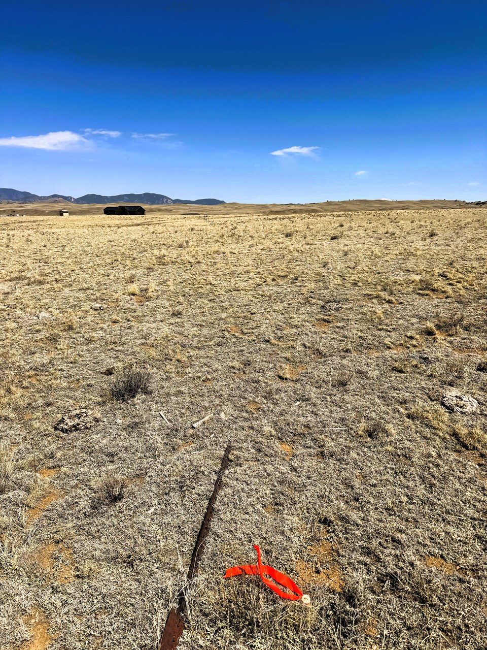 the northwest corner of the property looking east