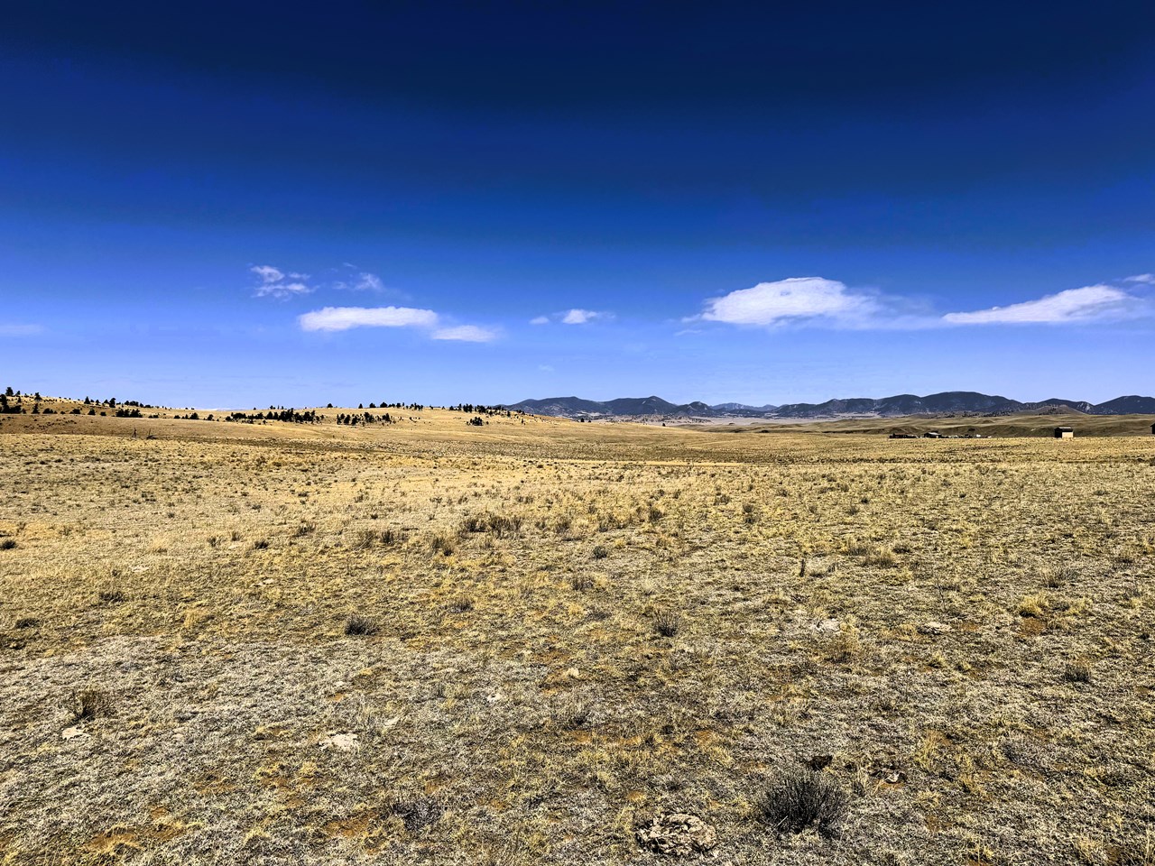 view from the property