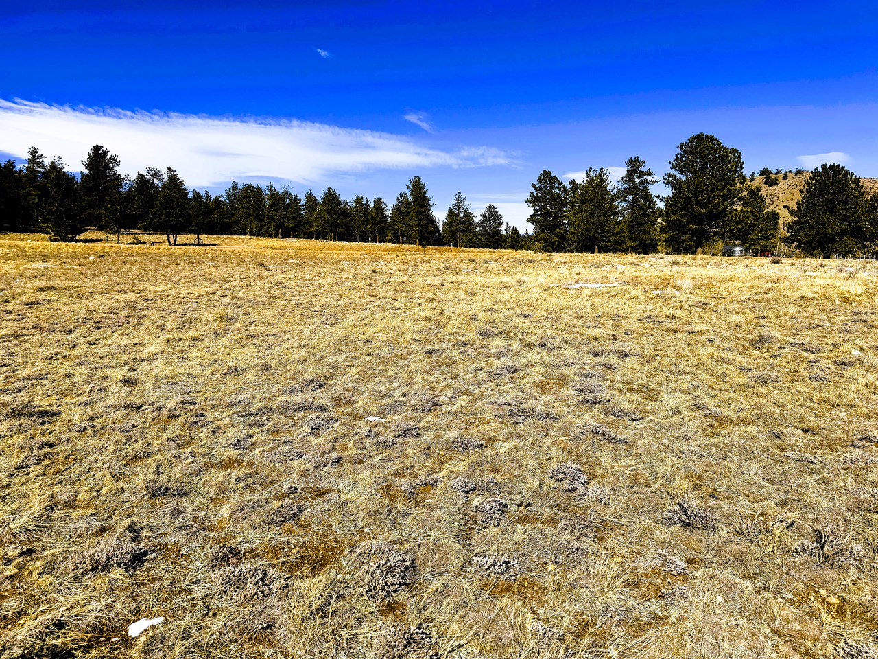 looking north across wagon wheel road from the center of the property