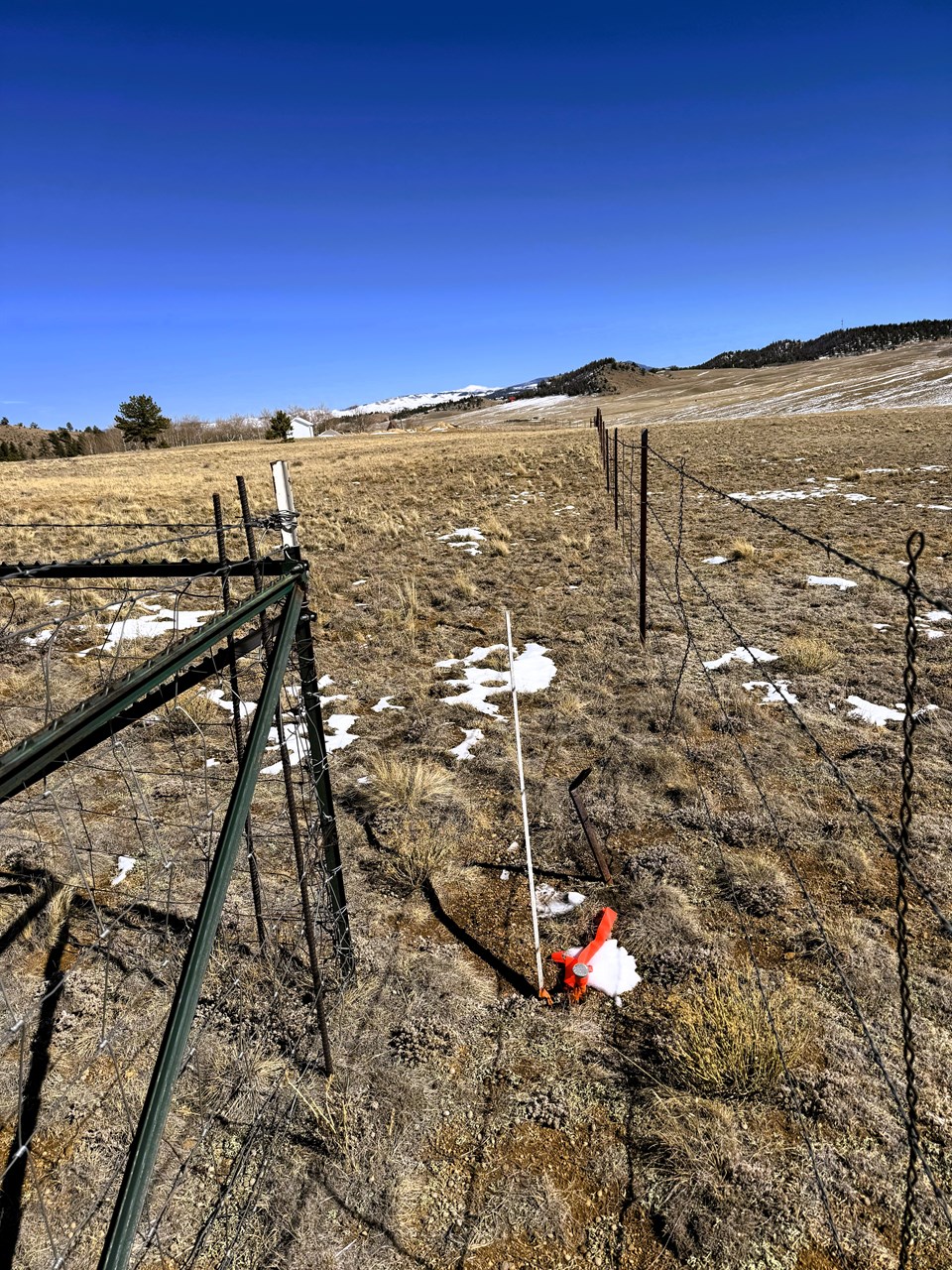 view east southest along the southwest property line from the southwest corner pin