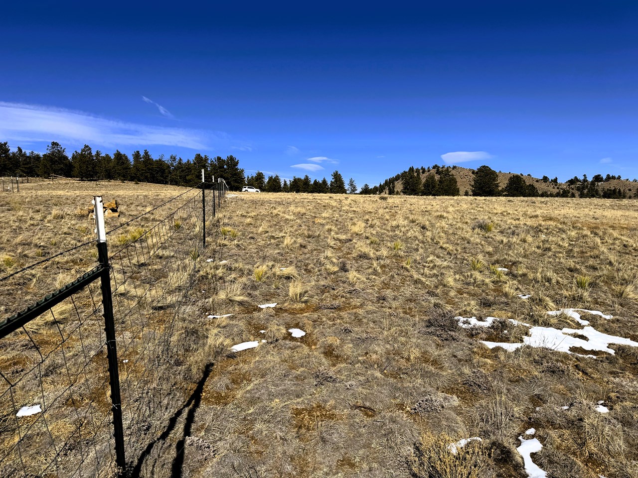 view northwest toward the front of the lot along the west property line