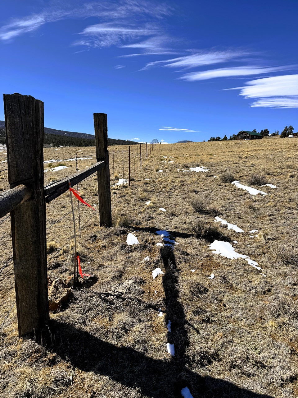 view west southwest along the back property line